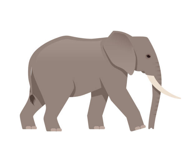 walking-elephant_still